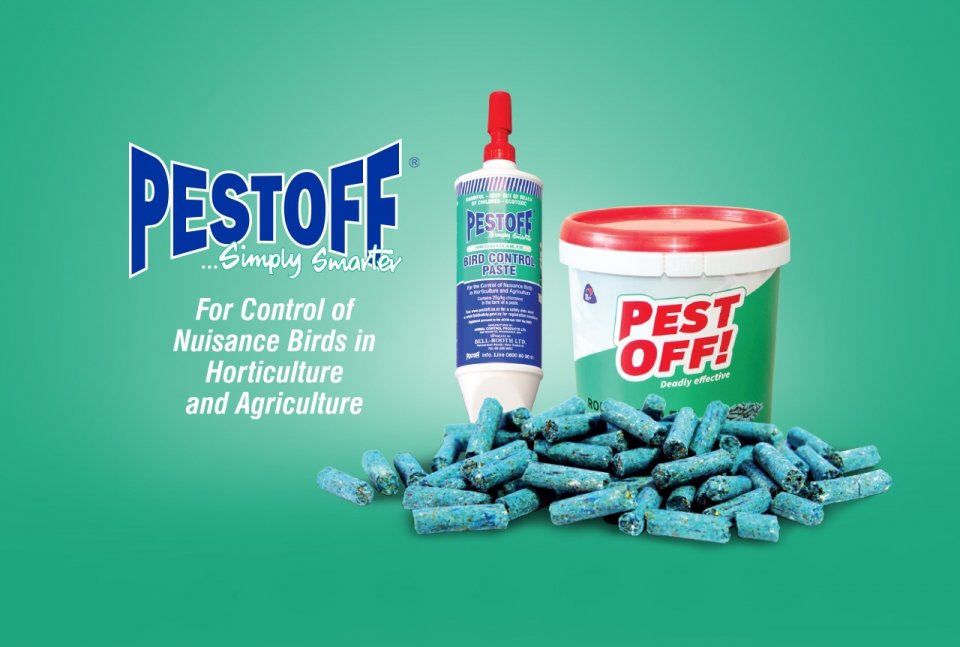 Prime Maldives introduces 'Pestoff' brand in the Maldives