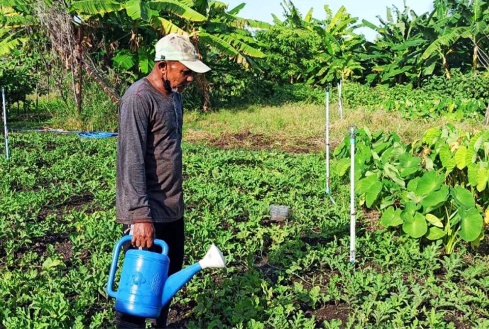 Fuvahmulah farmers share concerns