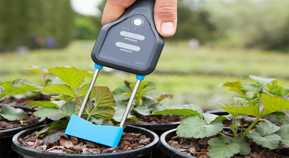 Bluelab Pulse Meter: The Ultimate Tool for Measuring Moisture, Nutrients (EC), and Temperature in Just 10 Seconds