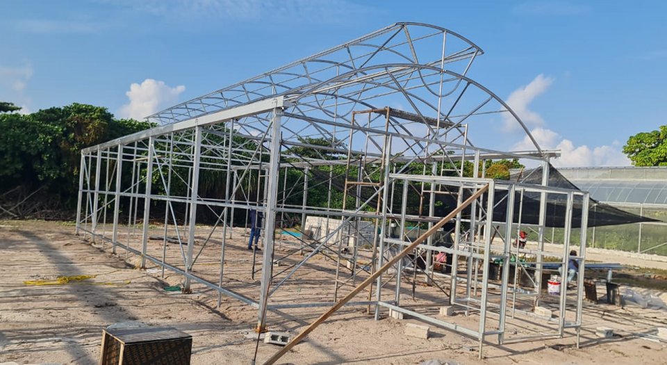 Prime Fertilizers Maldives Leads Agricultural Innovation with Greenhouse Installation in Sh. Goidhoo