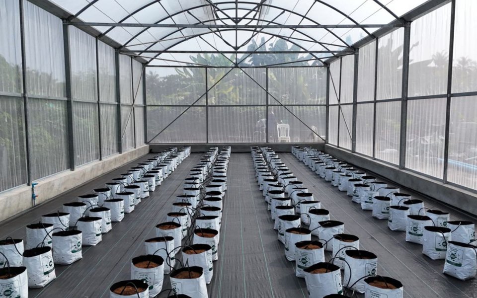 Empowering Farmers Through Knowledge: Hydroponics Training in Vaikaradhoo