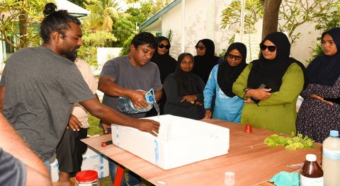 Prime Maldives Conducts Namoona Dhanduveriya Training in Adh. Hangnaameedhoo