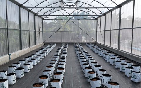 Empowering Farmers Through Knowledge: Hydroponics Training in Vaikaradhoo